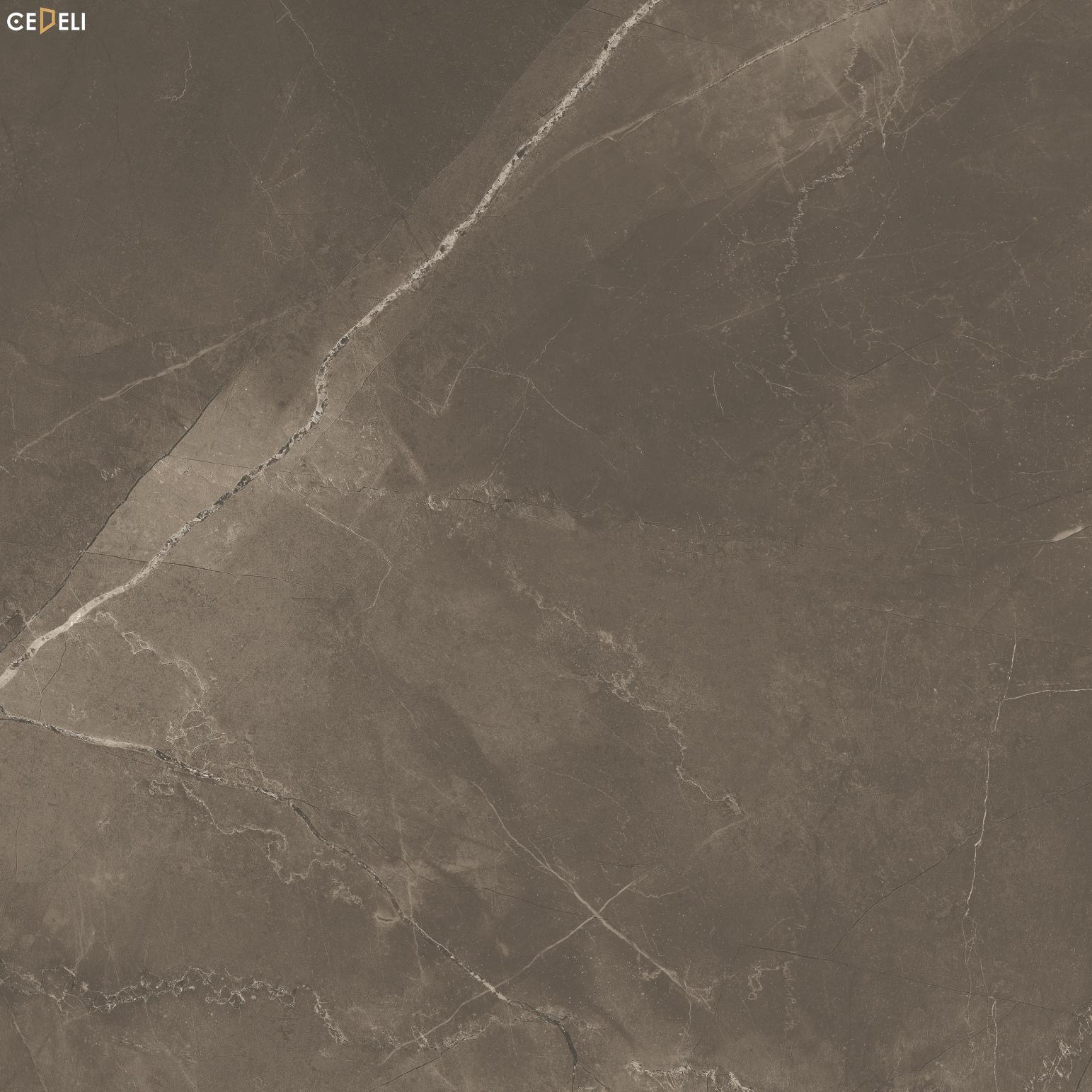 gach-op-lat-nen-nha-marble-pulpis-vision (5)