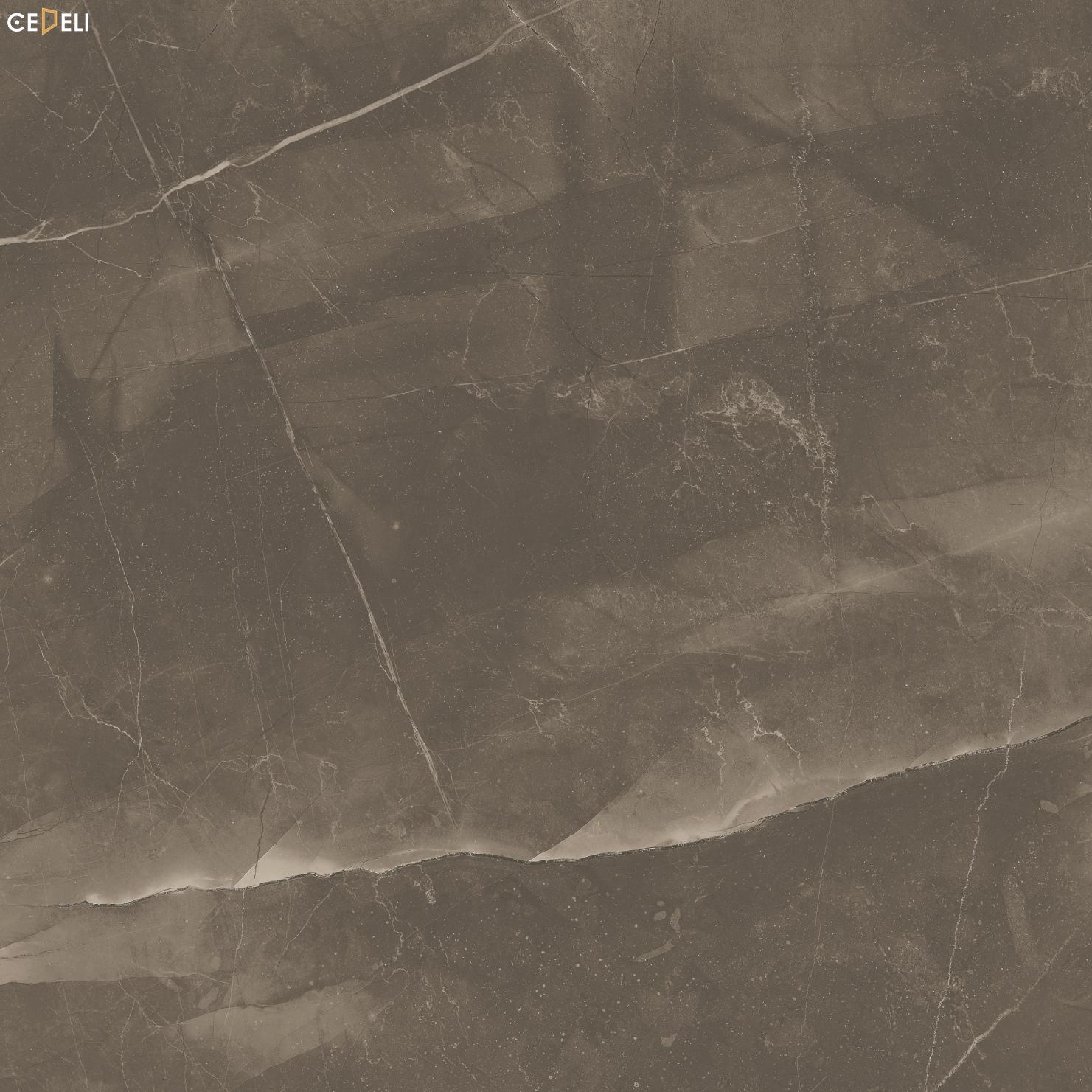 gach-op-lat-nen-nha-marble-pulpis-vision (6)