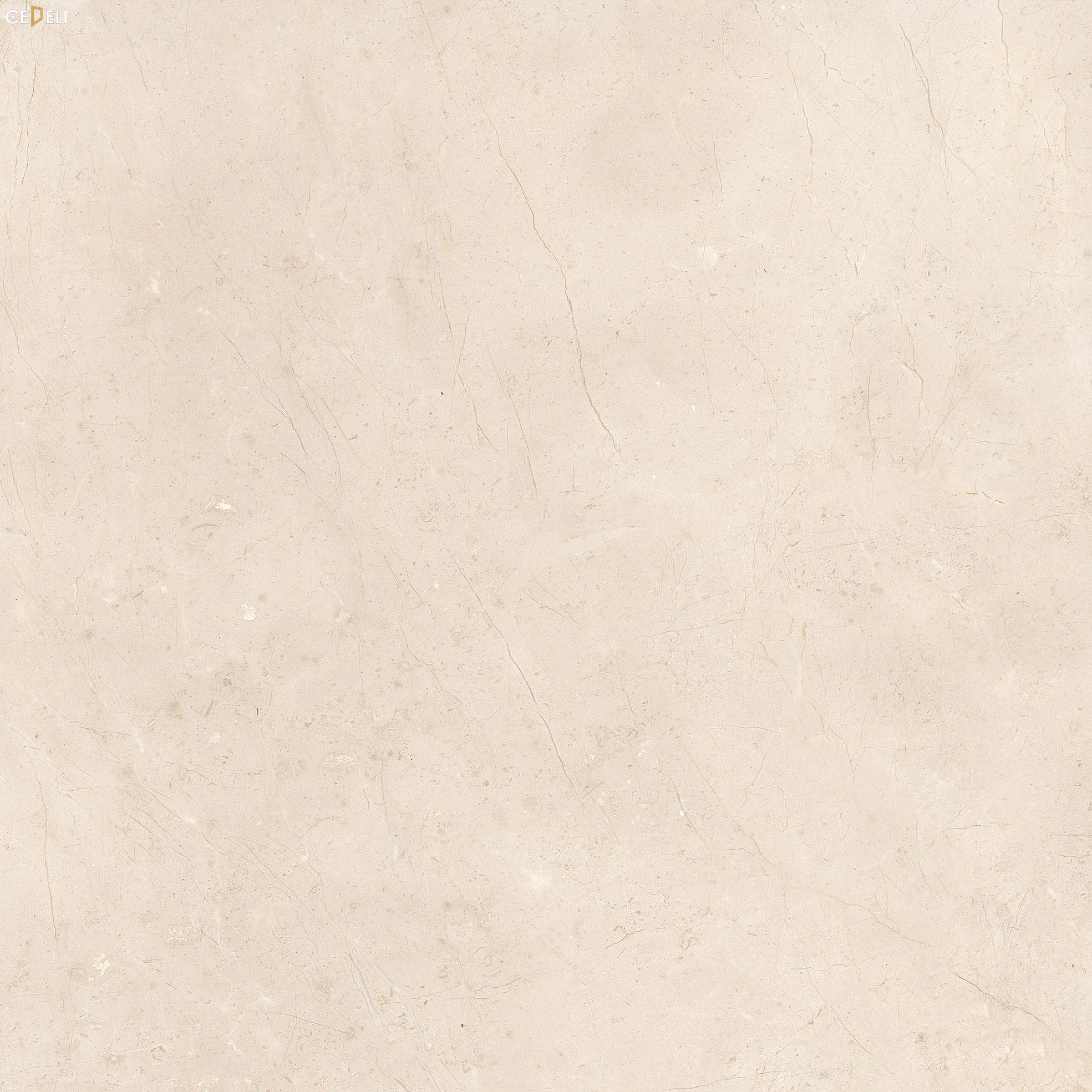 mau-gach-op-lat-phong-khach-etile-tusk (5)