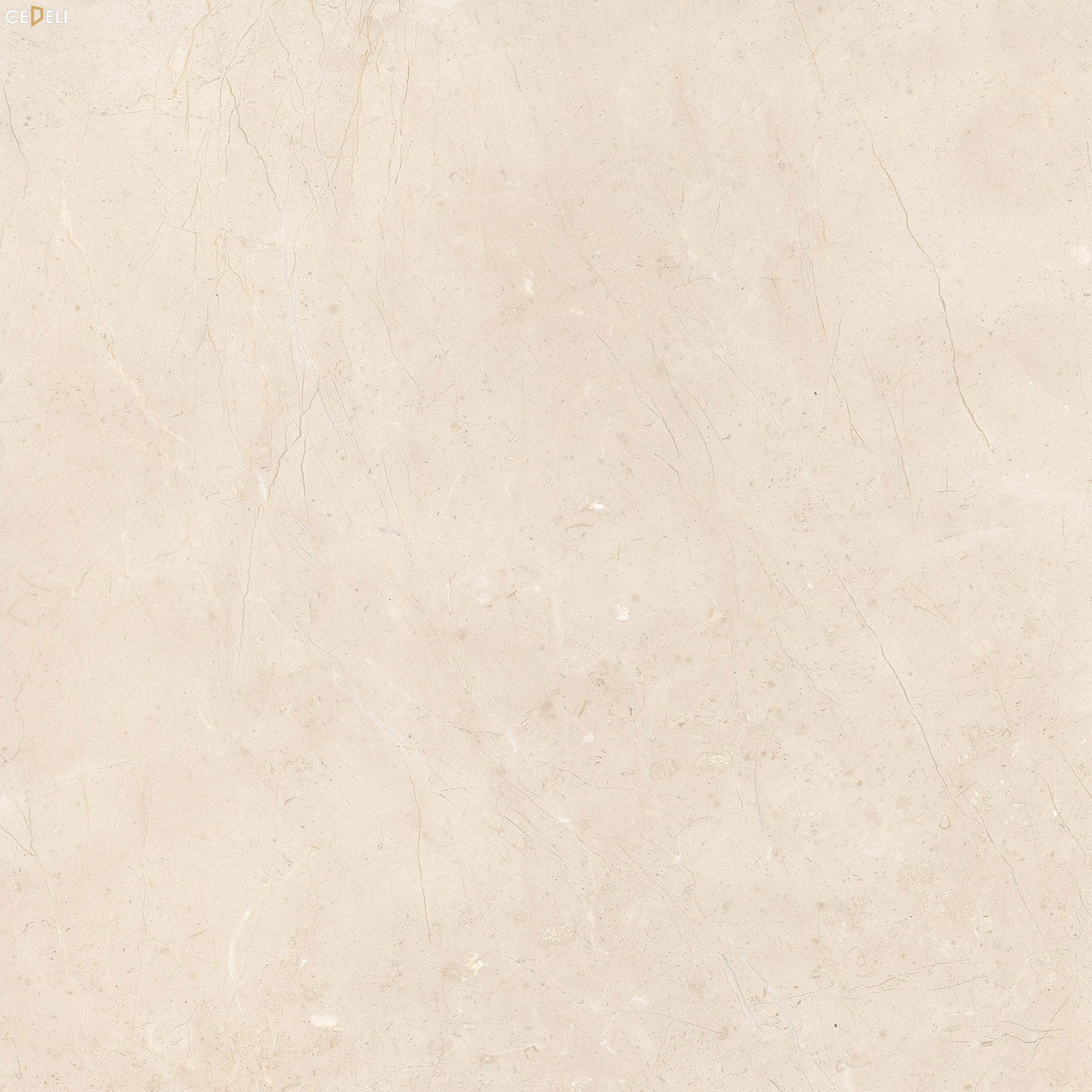 mau-gach-op-lat-phong-khach-etile-tusk (6)