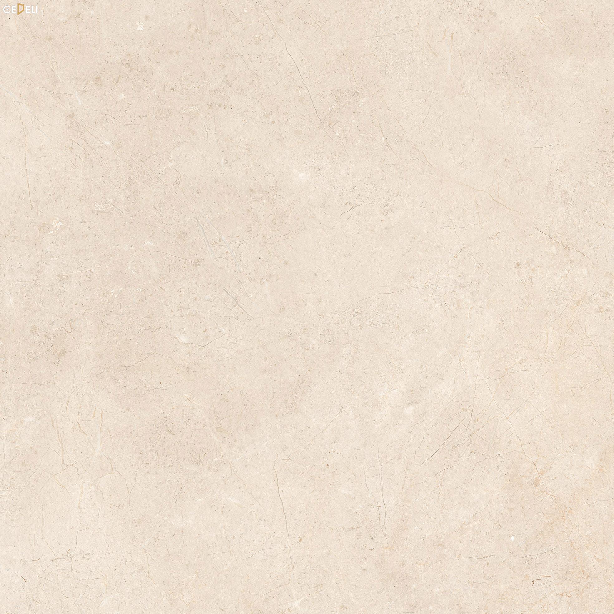 mau-gach-op-lat-phong-khach-etile-tusk (8)