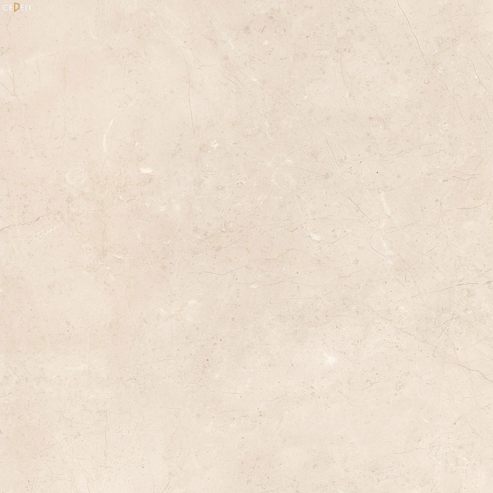 mau-gach-op-lat-phong-khach-etile-tusk (9)