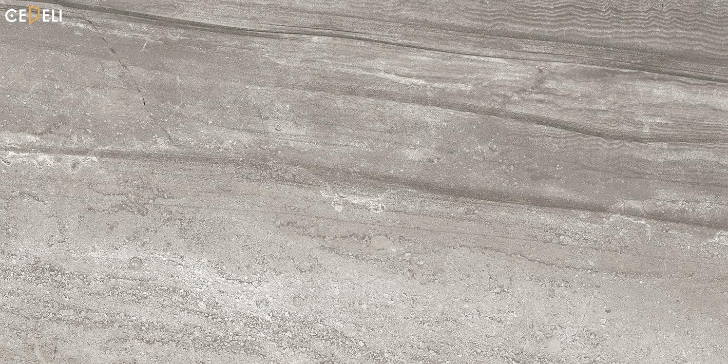 LITIUM GRAY 60X120 (1)